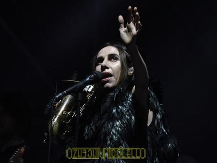 PJ Harvey in studio al lavoro su nuova musica?