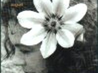 Torna Sarah Jane Morris: &apos;Ho 50 anni, un nuovo inizio&apos;