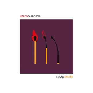 Marco Bardoscia