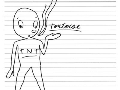 Arrivano in Europa i Tortoise