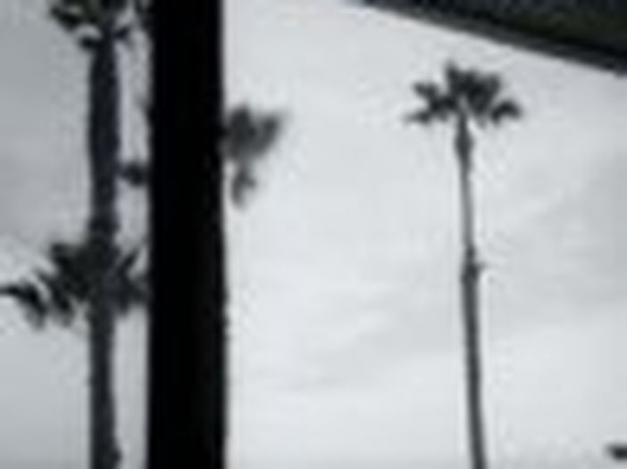 Ryan Adams risponde alle accuse di molestie sessuali Ryan Adams risponde alle accuse di molestie sessuali