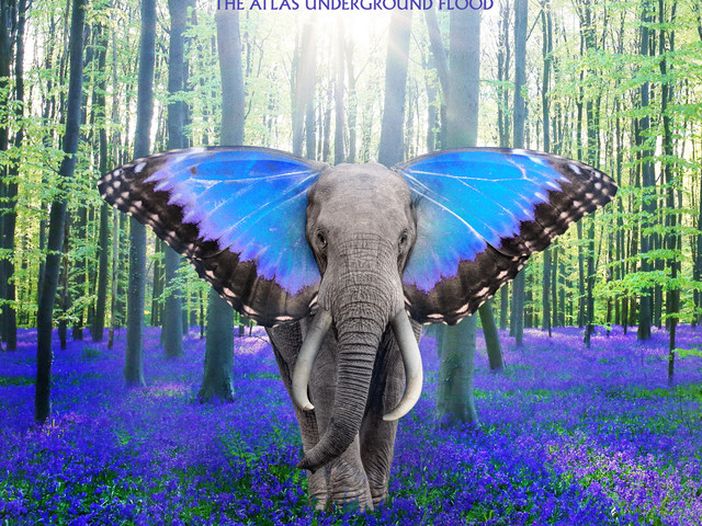 Tom Morello compie 56 anni: le frasi pi&ugrave; incendiarie della chitarra dei Rage Against the Machine