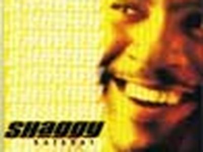 Anche Shaggy e Luther Vandross cancellano le loro apparizioni europee